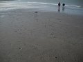 DSCN0677