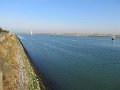 IMG_0835