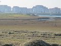 IMG_0855