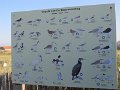 IMG_0857