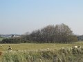 IMG_0861