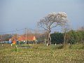 IMG_0864
