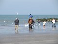 IMG_0870
