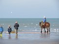 IMG_0871