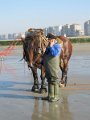 IMG_0873