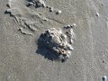 IMG_0875