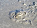 IMG_0877