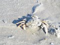 IMG_0878