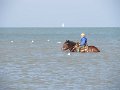 IMG_0879