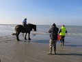 IMG_0883