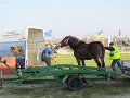 IMG_0898