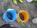 IMG_0899