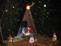 IMG_1769