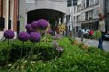 IMG_5667
