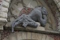 IMG_5673