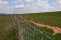 _DSC0148